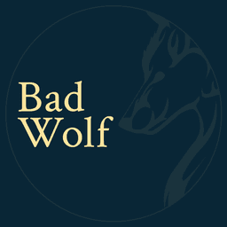 company image