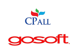 company image