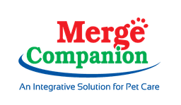company-profile