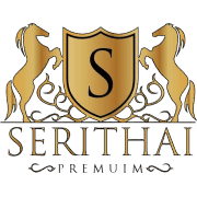 company image