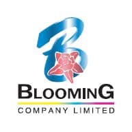 company image